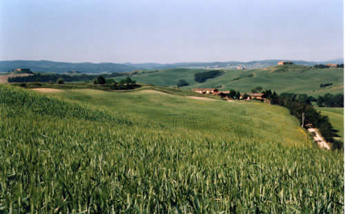 Vista del Montecucco